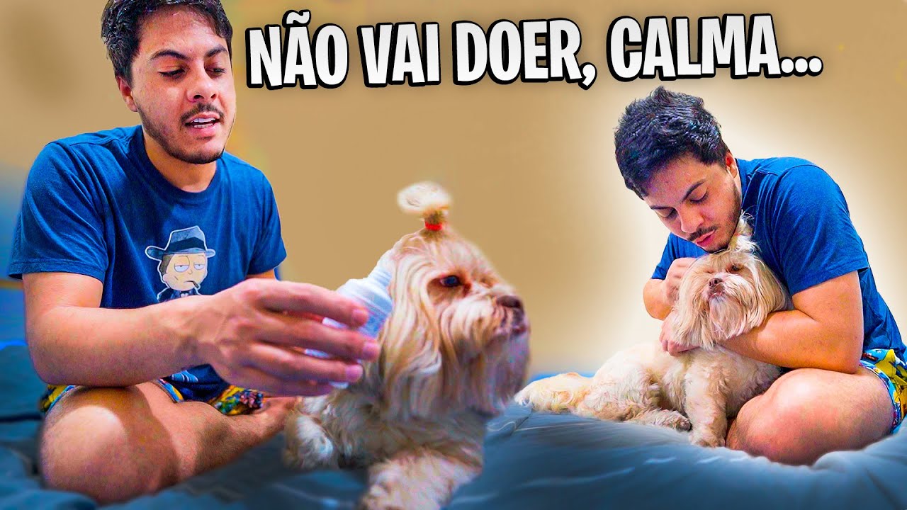 PRIMEIRO DIA MORANDO SOZINHO E A MAGGIE FICOU DOENTE