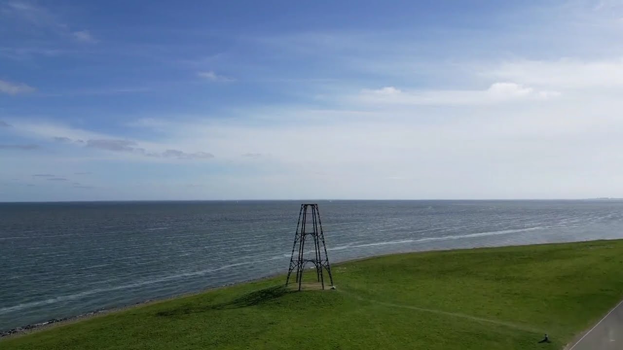 Seagulls attacked my drone...