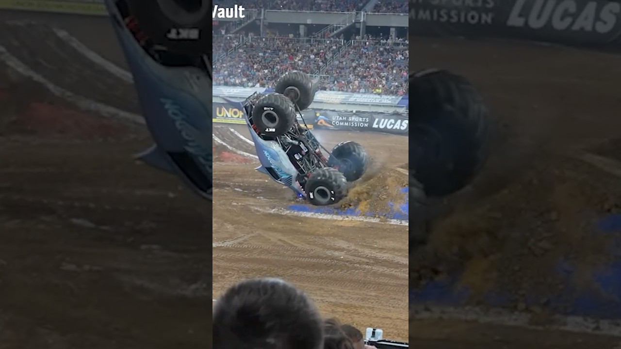 Мегалодон — ужасная катастрофа! 