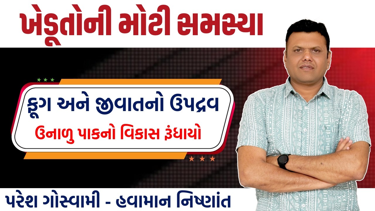 ઉનાળુ પાકમાં ફૂગ અને જીવાત નો ઉપદ્રવ | Disease And Sucking Pest in Summer Crop Paresh Goswami