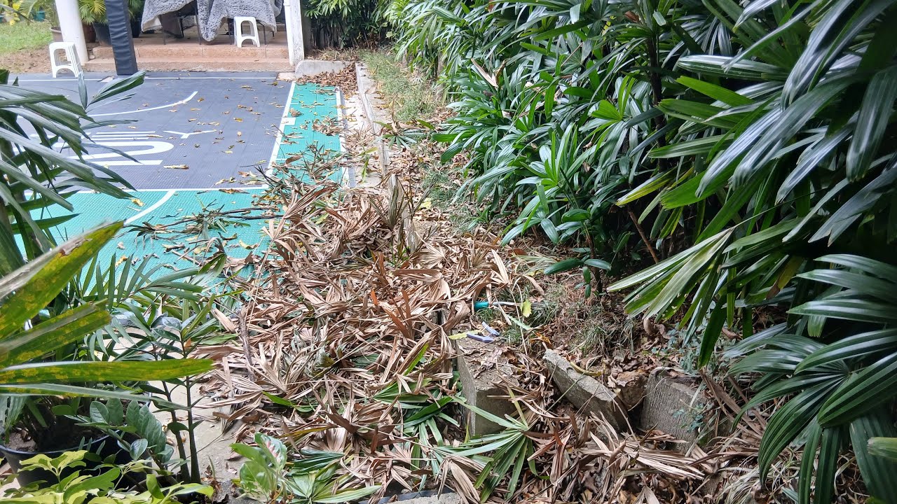 nognog baloga mixvlog is live!ang hirap naman nito baka may ahas na