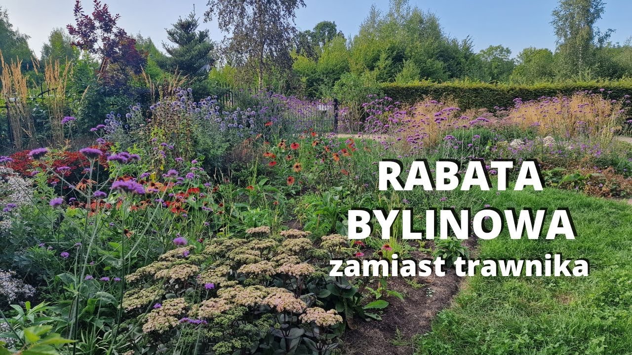 Rabata bylinowa zamiast trawnika. Rabata bylinowa po roku od założenia.