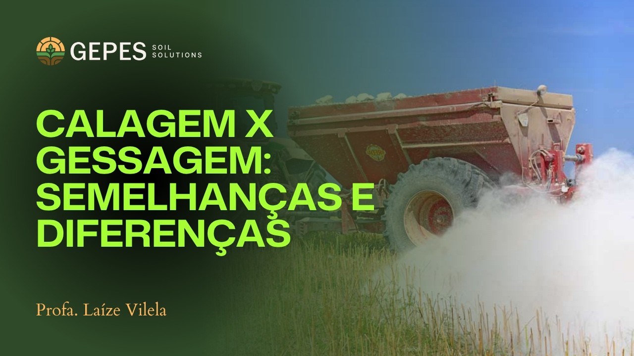 Calagem x gessagem: n&atilde;o confunda essas duas pr&aacute;ticas!