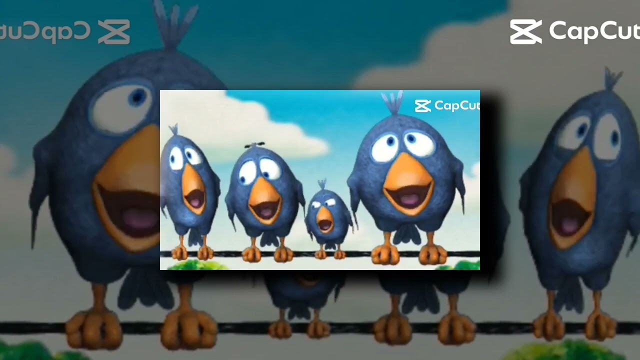 ALL YTPMV SCAN