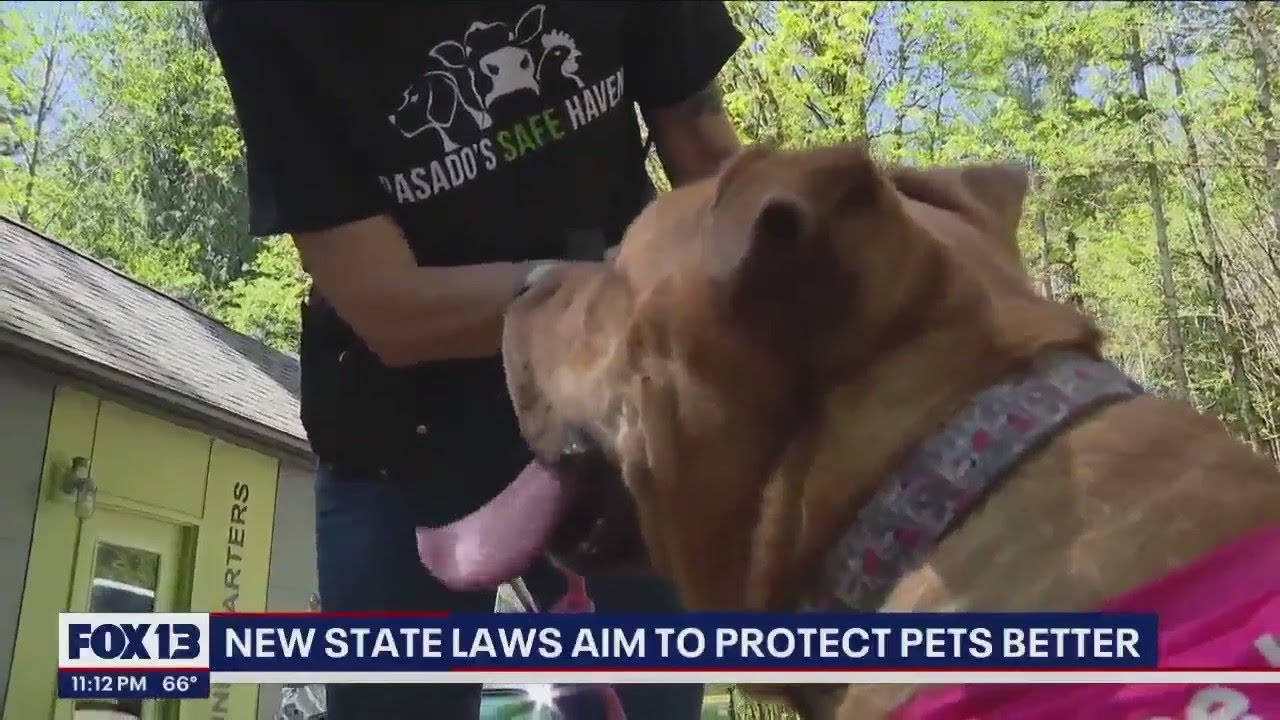 Newly passed pet protection bills will help abused & neglected animals rehabilitate, find homes fast