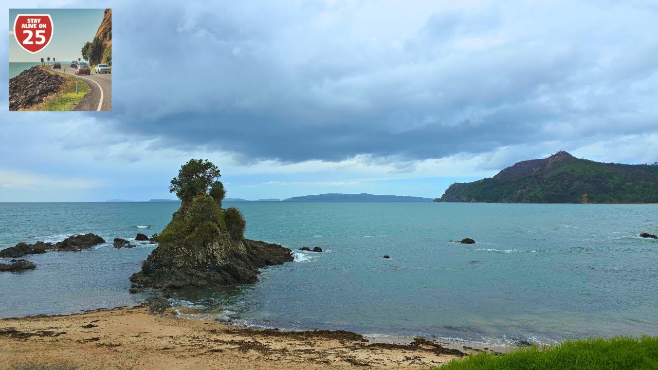Stay Alive on 25: Coromandel to Whitianga