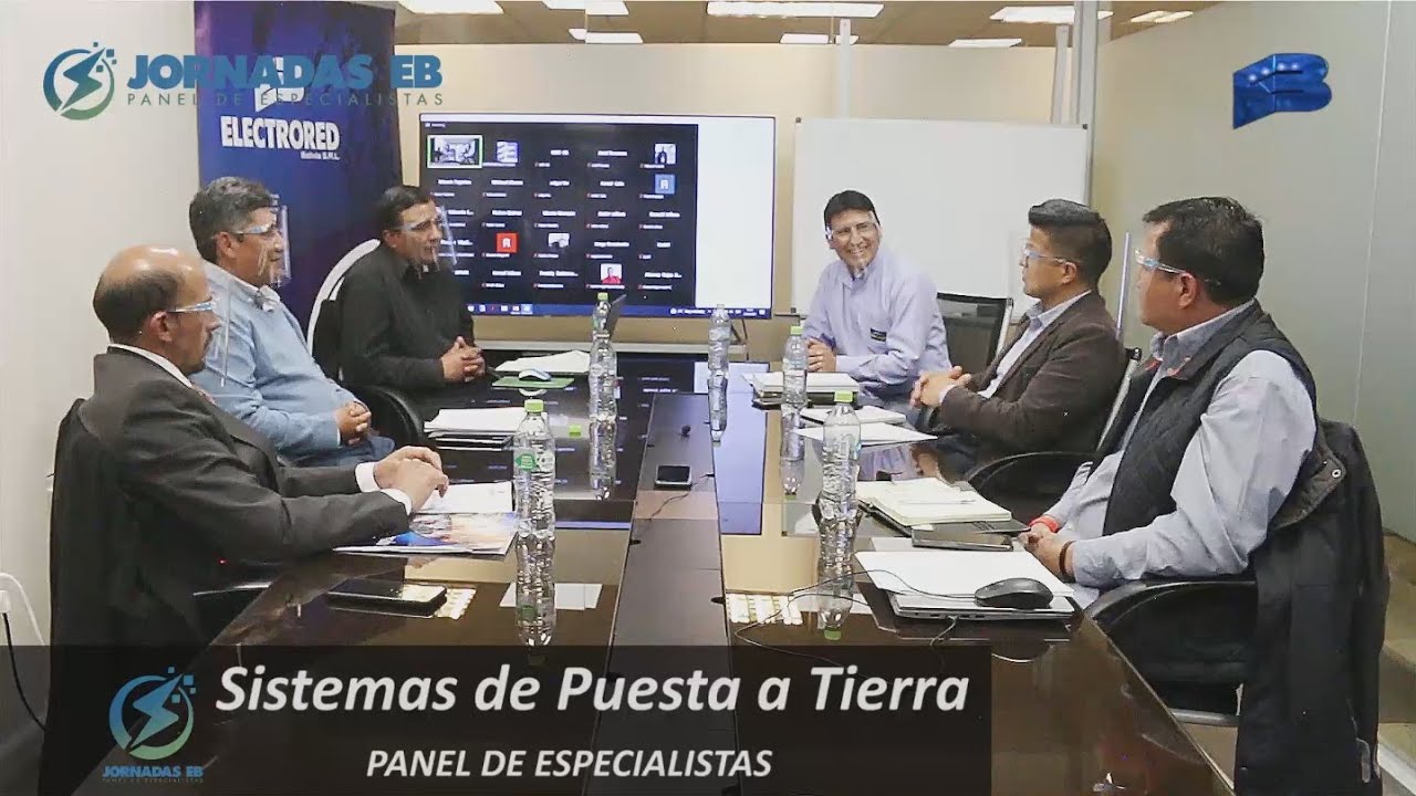 SISTEMAS DE PUESTA A TIERRA - PANEL DE ESPECIALISTAS