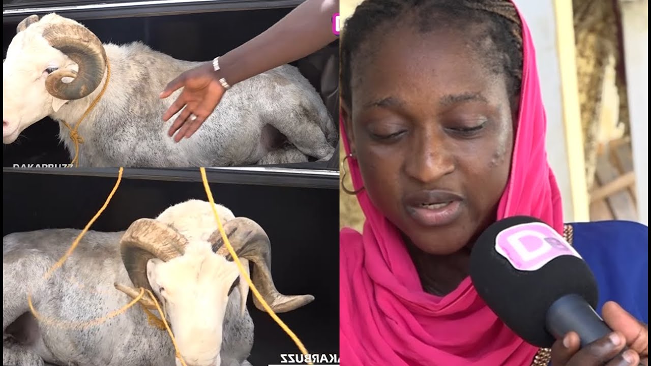 Émouvant: une femme offre un mouton à Sokhna Aicha Mendy...