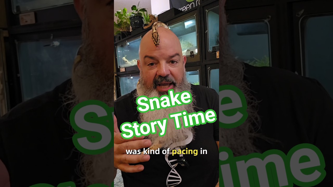 Here's a story about a real smart snake
