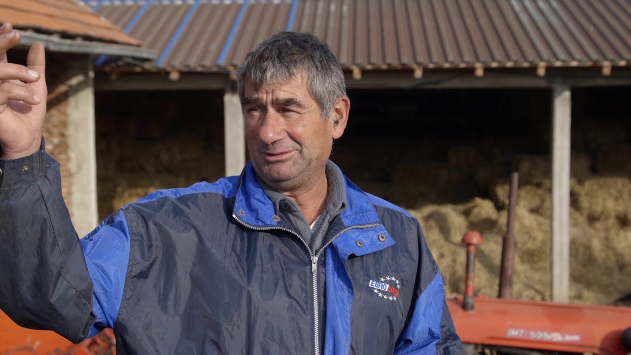 Farma krava u selu Dobraca, cena mleka stagnira, dok inputi rastu - U nasem ataru 871