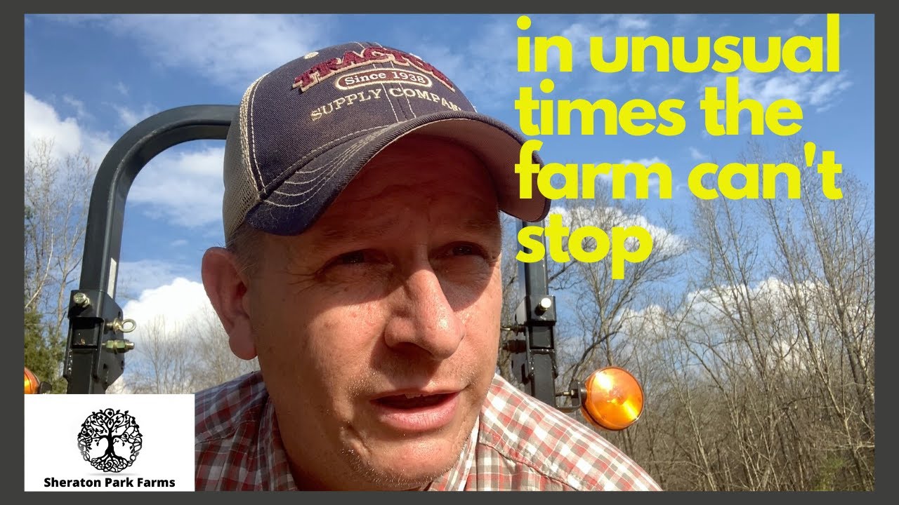 Pasture Management - Preparing The Spring Pasture For Grazing and Thoughts
