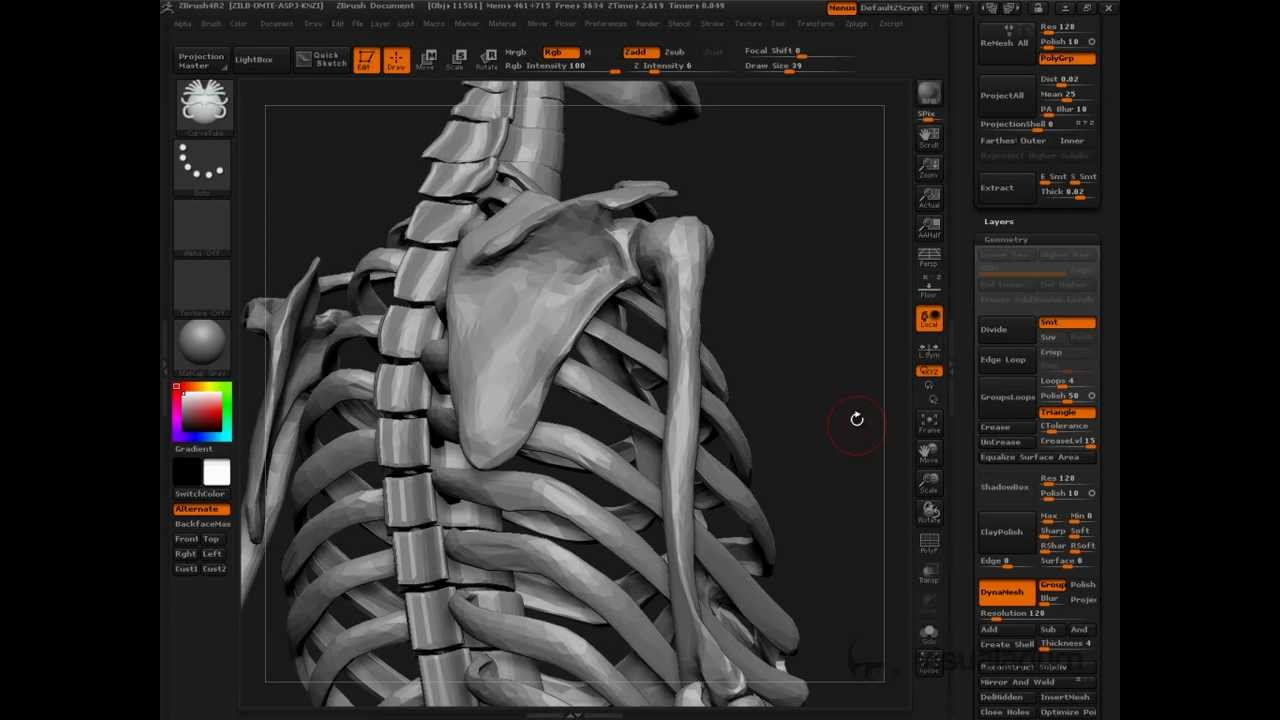 Anatomy 2R2: Understanding the Shoulder