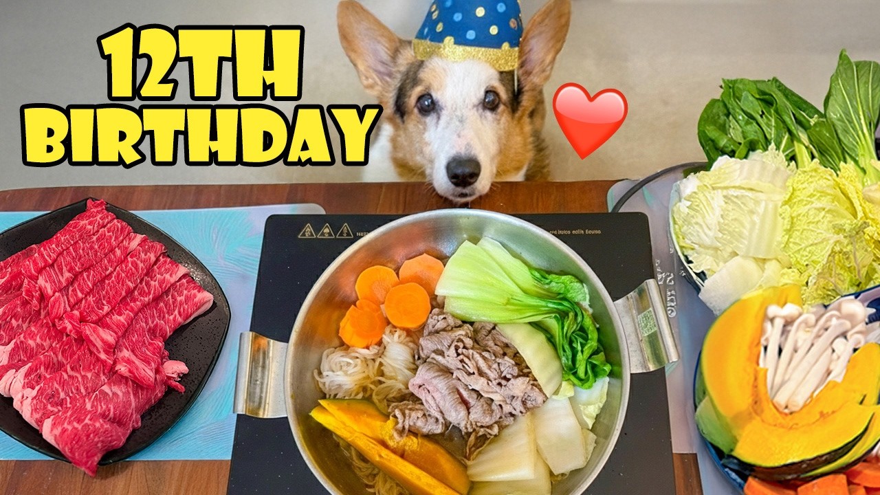 Surprise Sukiyaki for My CORGI's 12th Birthday || Life After College: Ep. 819