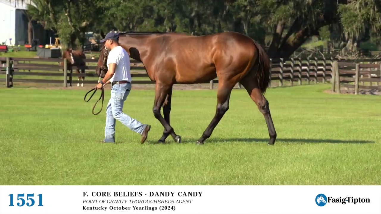HIp 1551 Fasig Tipton October Yearlings
