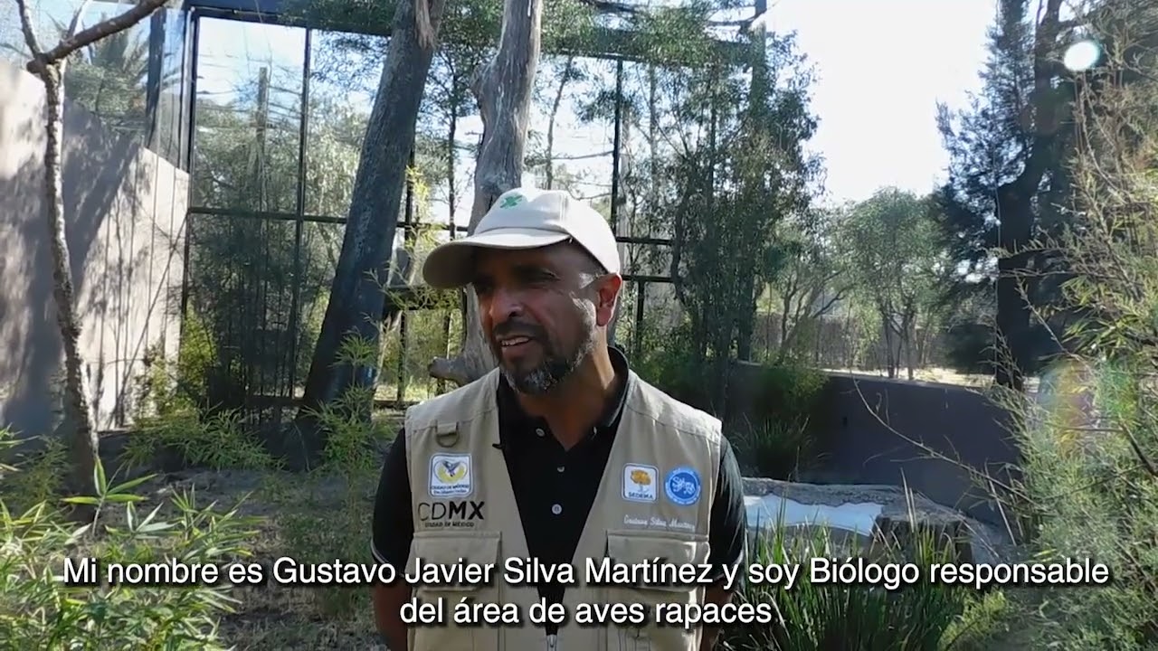 Un Día en el Centro de Rescate y Rehabilitación de Aves Rapaces