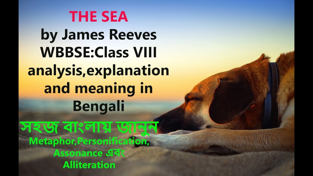 THE SEA by James Reeves||বাংলায় অর্থ, বিশ্লেষণ ও ব্যাখ্যা।|WBBSE CLASS VIII