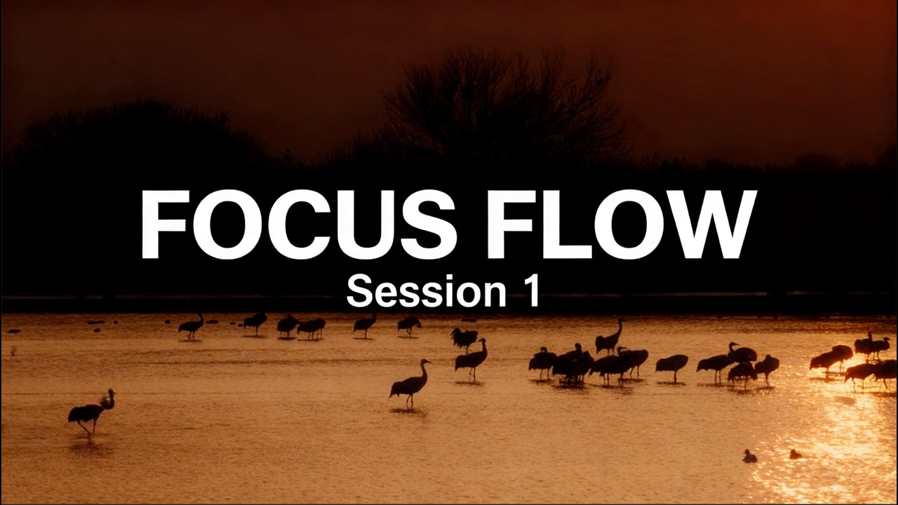 Focus Flow Session 1