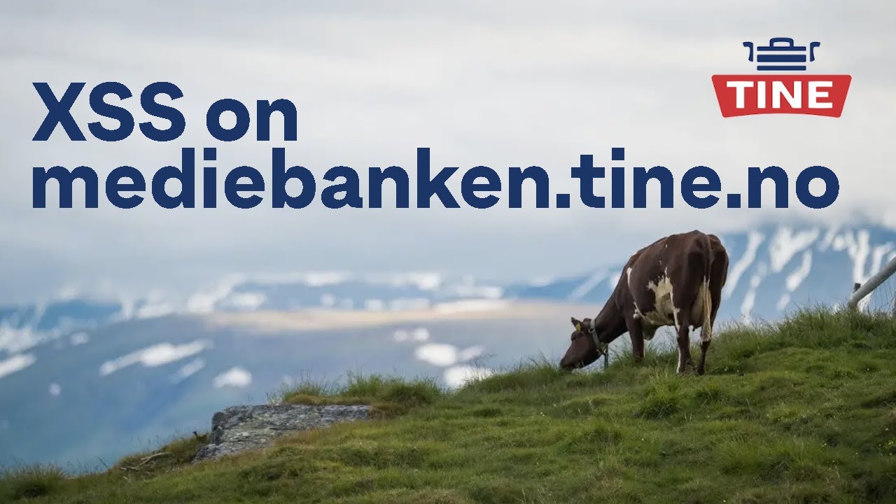 XSS on mediebanken.tine.no | POC