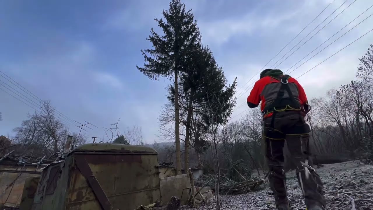 Rizikové pílenie stromov - výrub stromov Trenčín.