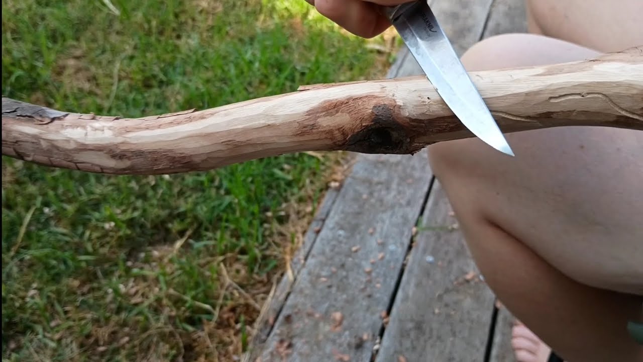 Brittle Gum (Eucalyptus Mannifera) walking stick - Part One : Peeling