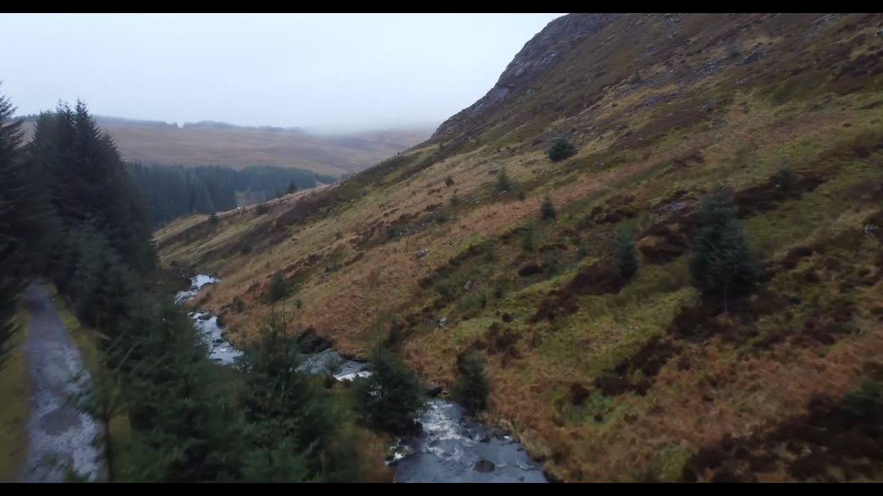 John McDermott - Flow Gently, Sweet Afton