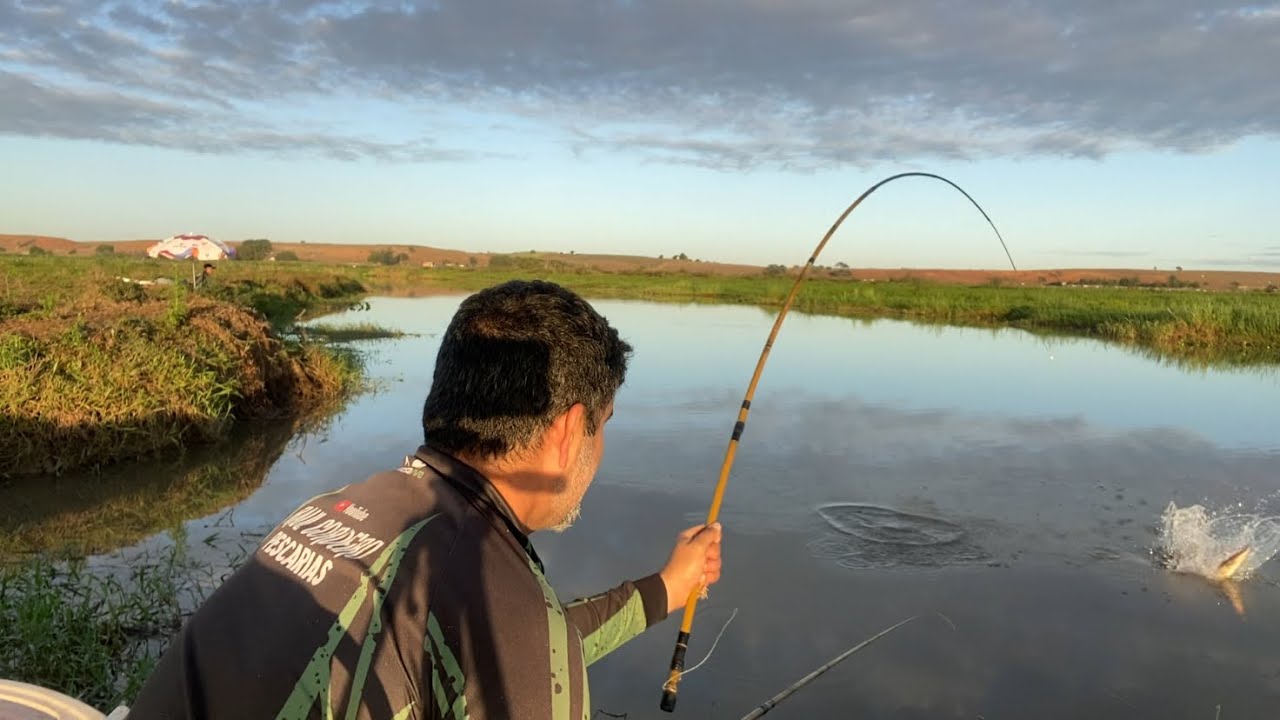 ESSE LUGAR TEM MAIS PEIXE DO QUE ÁGUA! Pescaria.