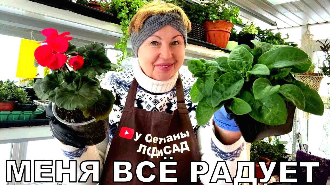 Обзор рассады на 23 февраля. Мои семена взошли все! Рассада радует