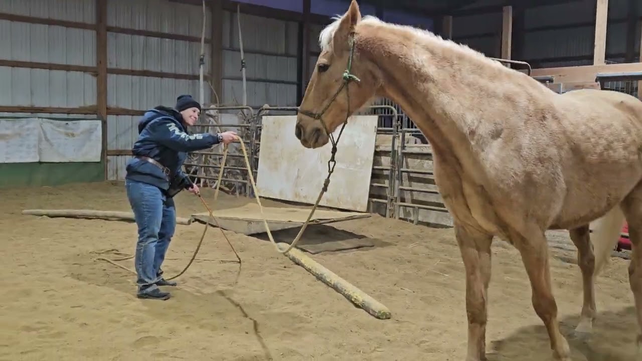 Elisha and Copper working the teeter Totter! 