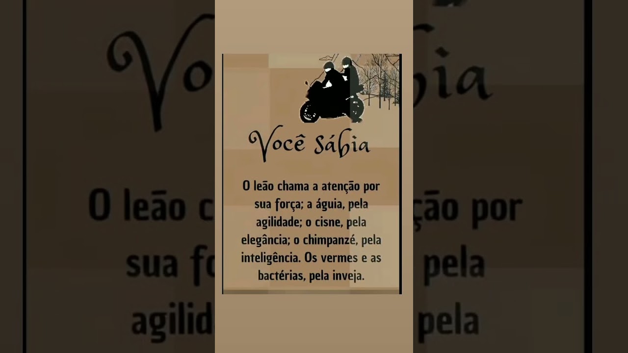 #for&ccedil;ainterior #for&ccedil;at&aacute;tica #forcatatica #for&ccedil;aparavencer #forcadevontade #for&ccedil;ariograndedosul
