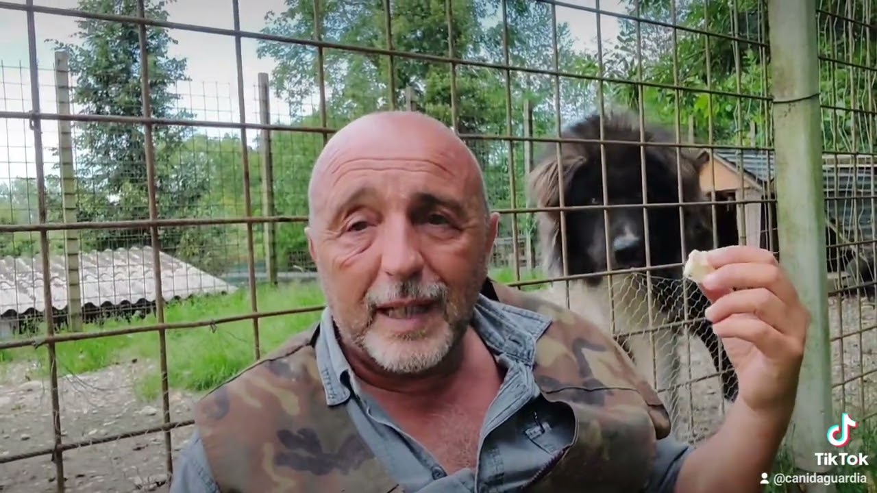 (Video 8) - PUMAS IL TERRIBILE! Ecco perché non lo avete più visto al mio fianco nei video!