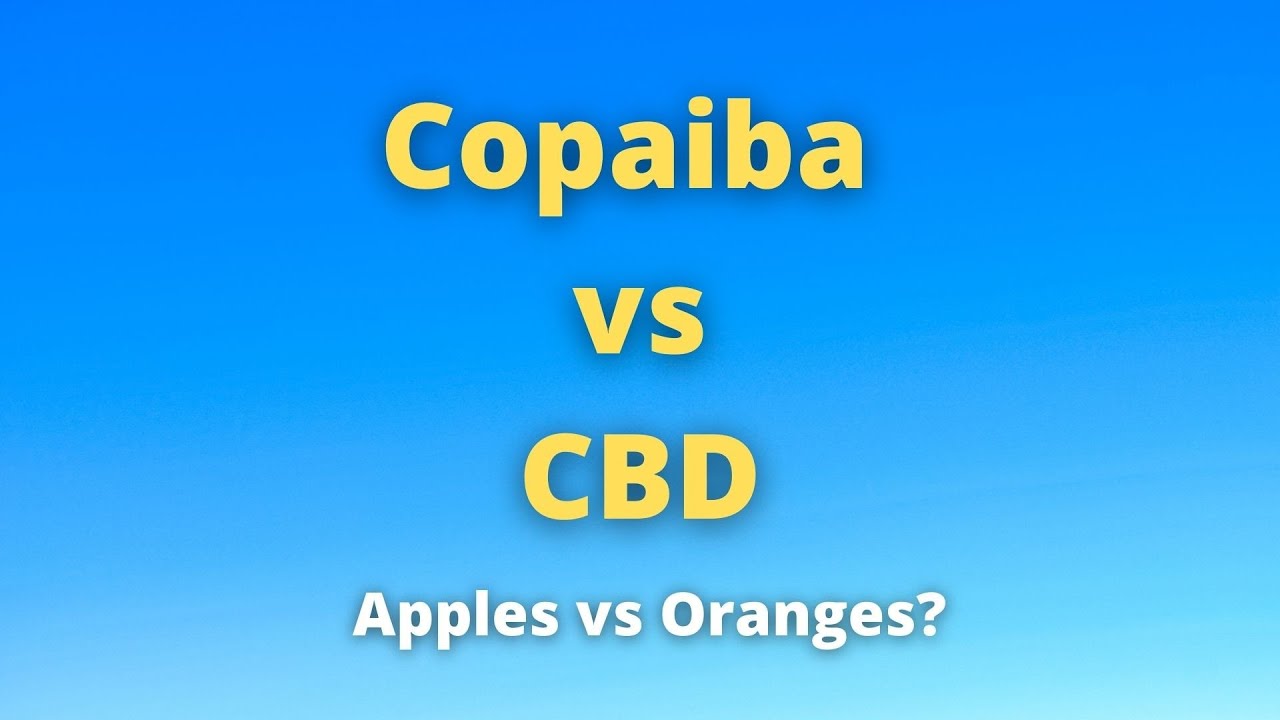 Copaiba vs CBD. How They Differ & How They Are Similar. Doctor Jack Episode 49