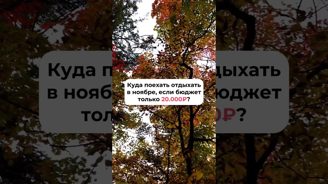 Заходи на сайт GoTour и бронируй свое лучшее осеннее приключение!🧡🍁