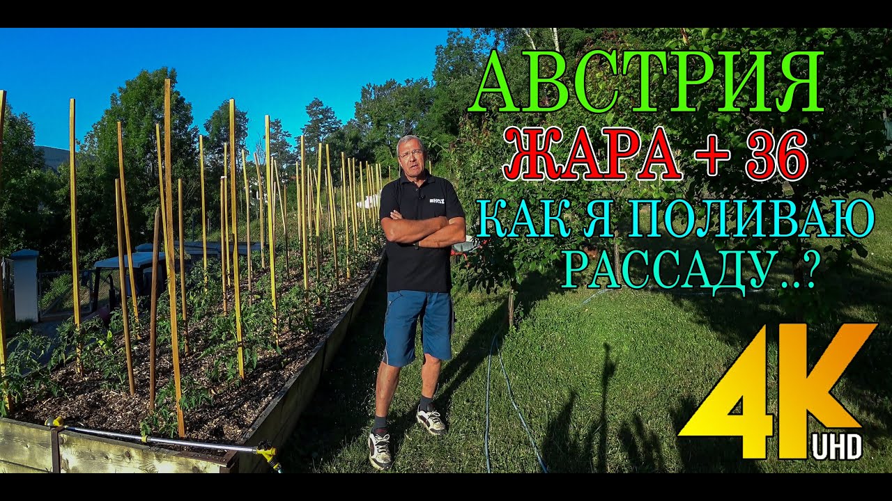АВСТРИЯ.АНОМАЛЬНАЯ ЖАРА. РАБОТЫ В САДУ..