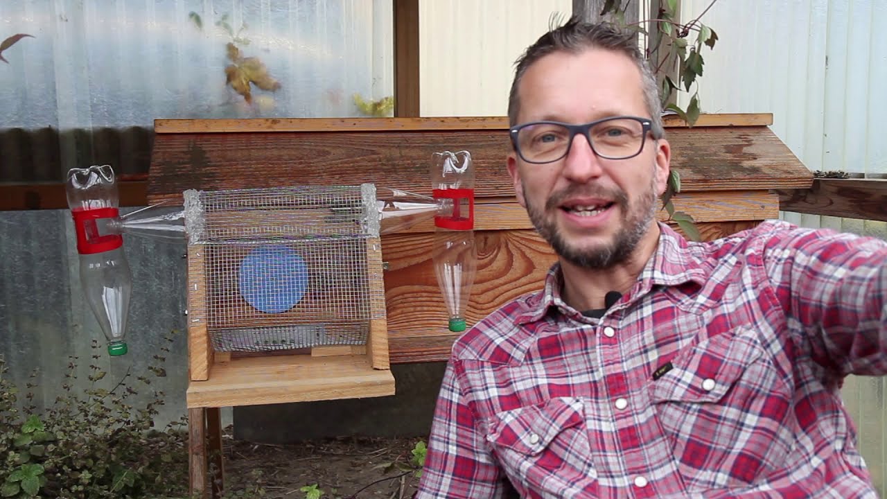 Abeilles sous protection avec le piège à frelon de Fernando