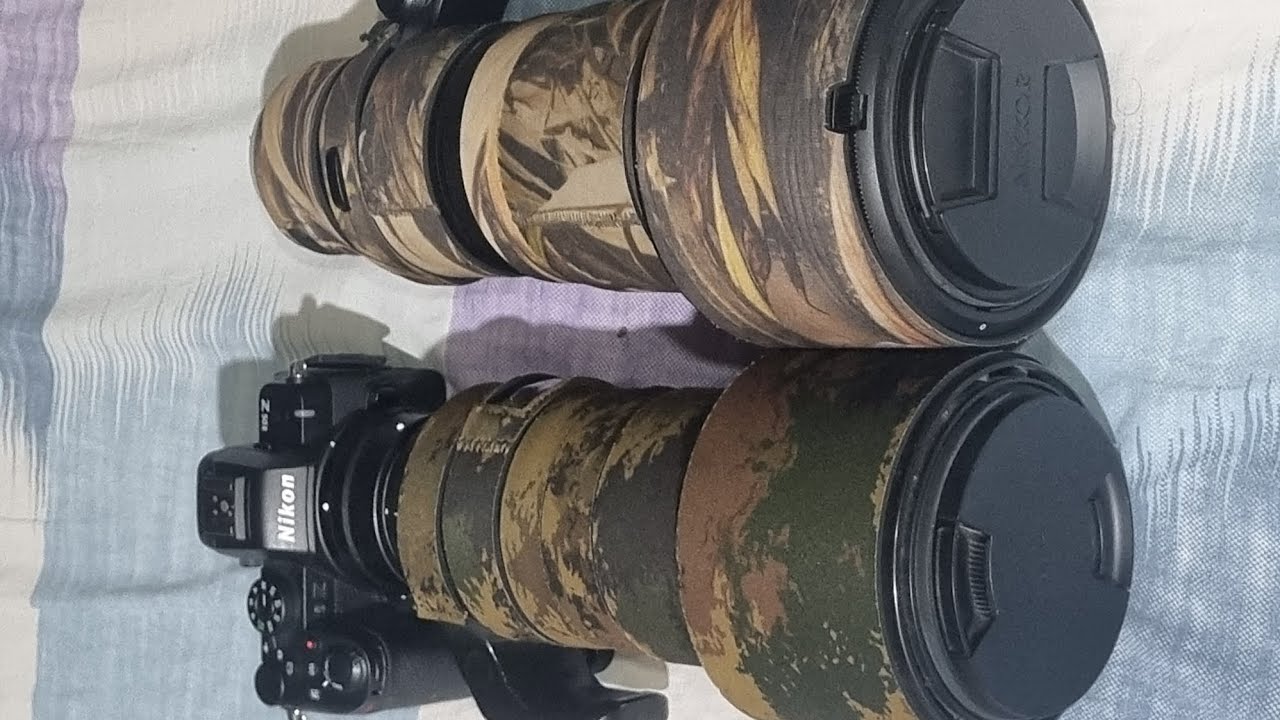 Nikon 180 600 vs Sigma 150 600 autofocus speed test on a nikon z50ii 