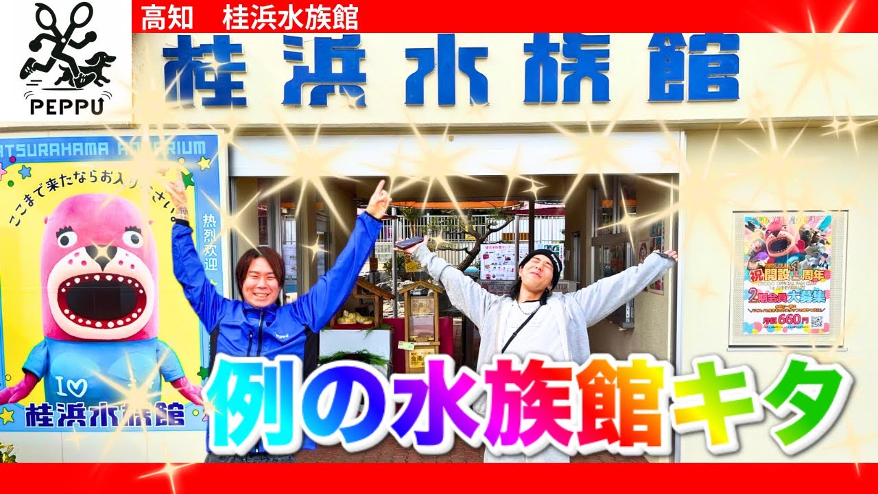 【高知観光】Shinと達矢先生と桂浜水族館へ