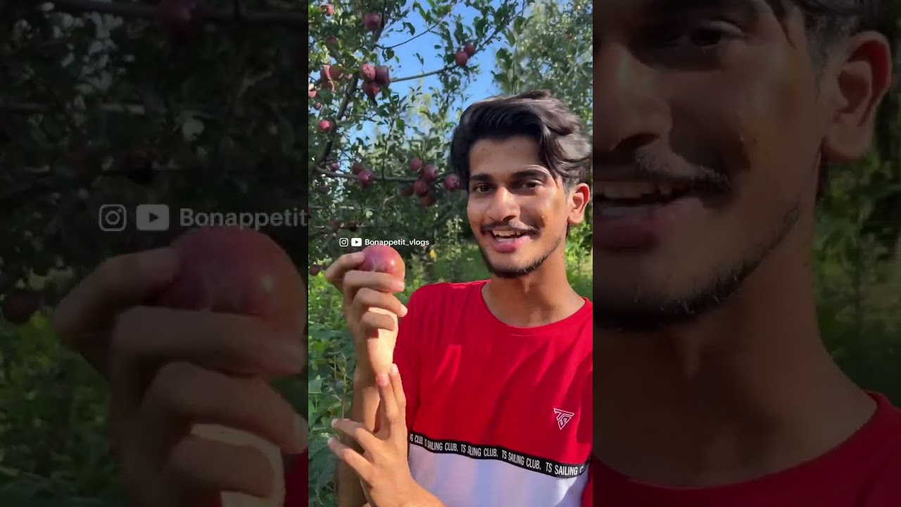 MANALI SERIES PART 2🔥😍| Bonappetit vlogs #shortvideo