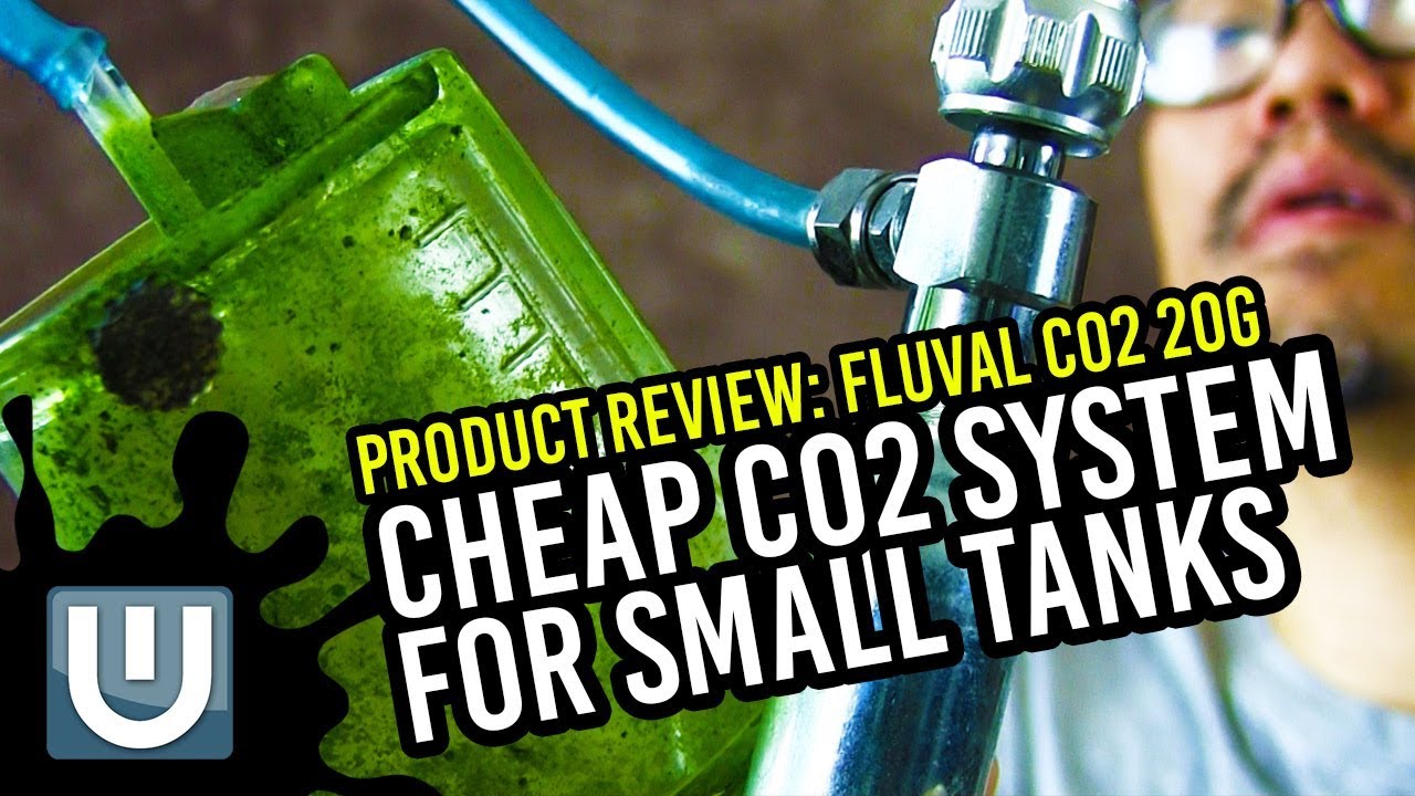 Fluval Co2 20g Reviews - Cheap Co2 for Small Tanks