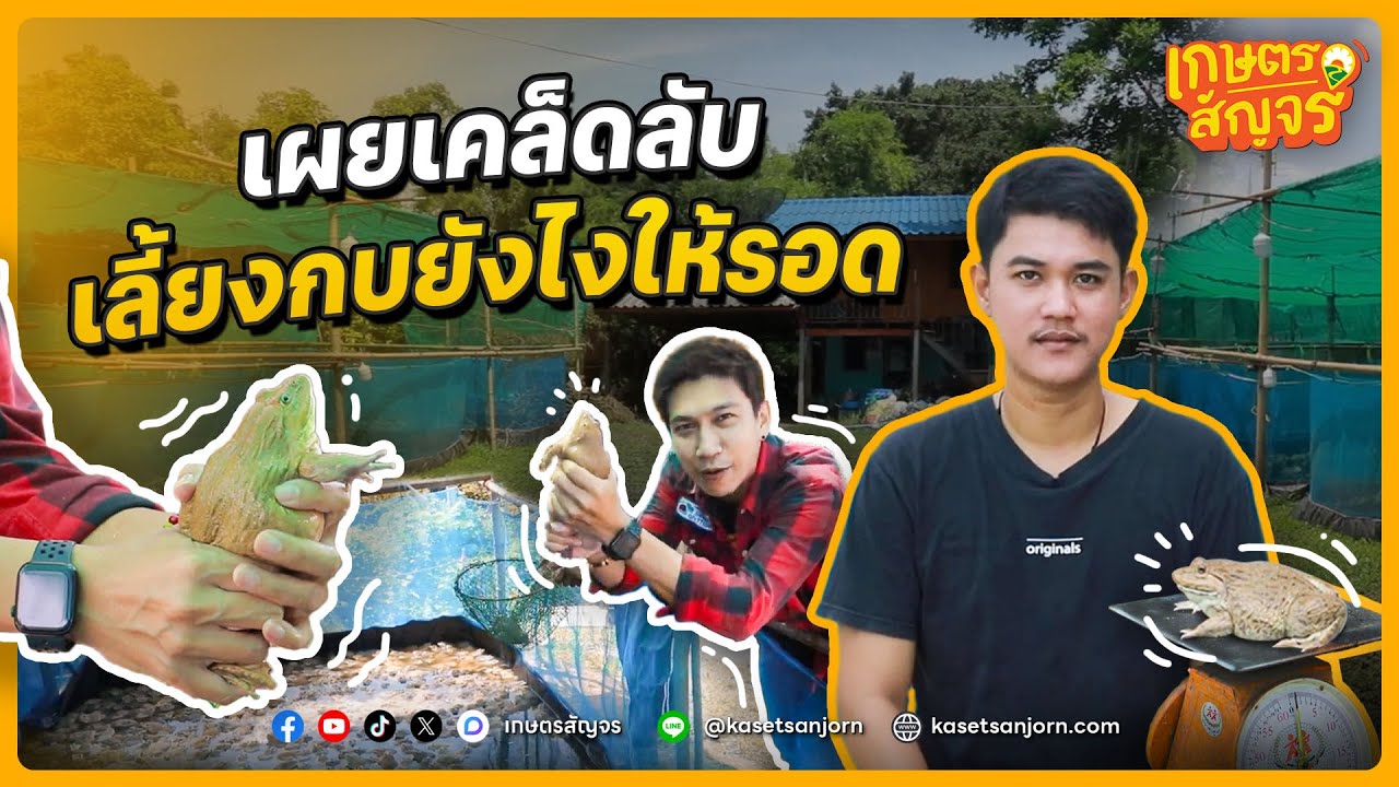 เผยเคล็ดลับ เลี้ยงกบยังไง ให้รอด  | เกษตรสัญจร