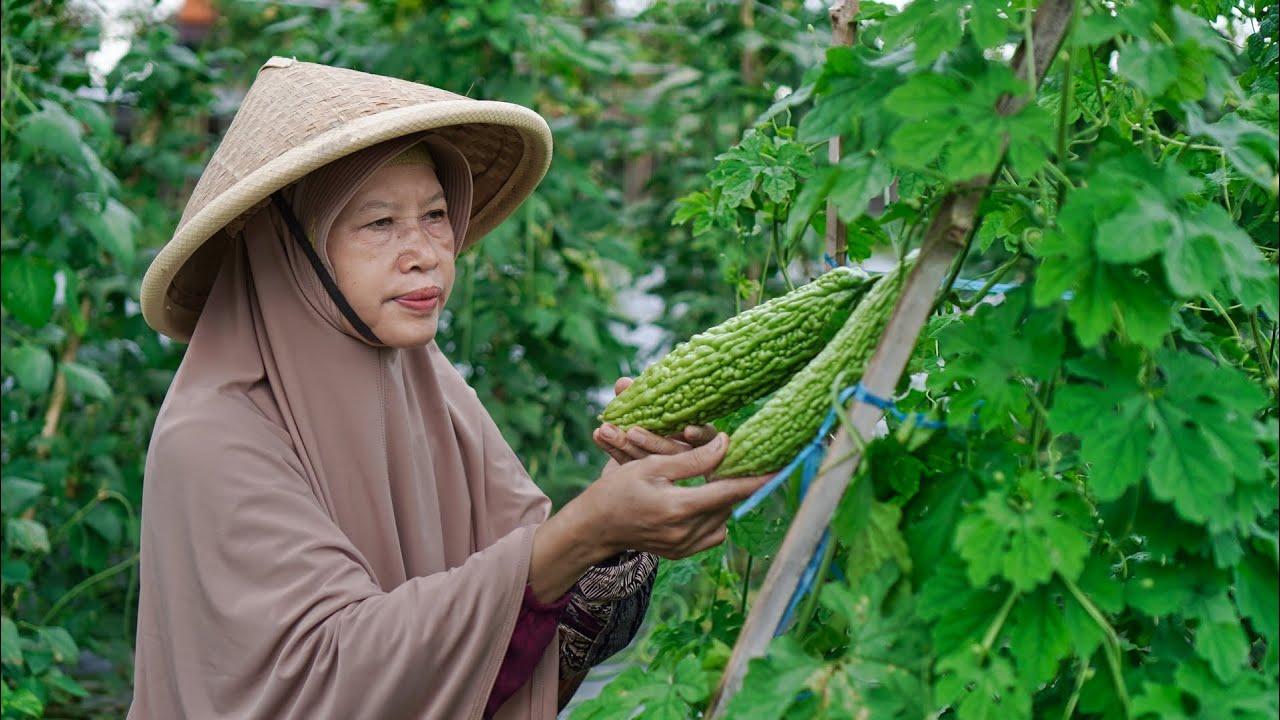Memetik Sayur Pare di Kebun | Memasak Oseng Pare dan Teri, Sambal Pete | Minuman Hangat Wedang Ronde