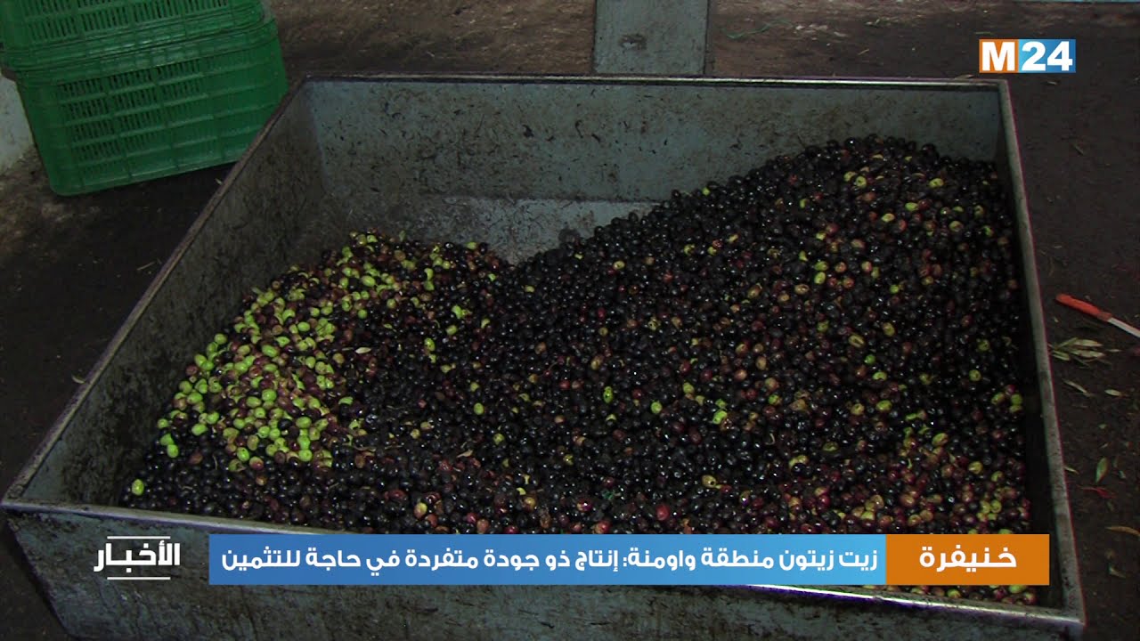 زيت زيتون منطقة واومنة: إنتاج ذو جودة متفردة في حاجة للتثمين