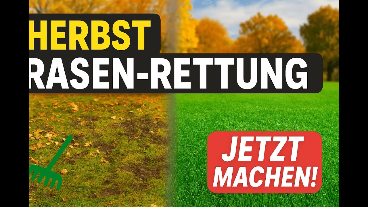 Diese Rasenpflege Tipps im Herbst retten deinen Rasen vor dem Winter