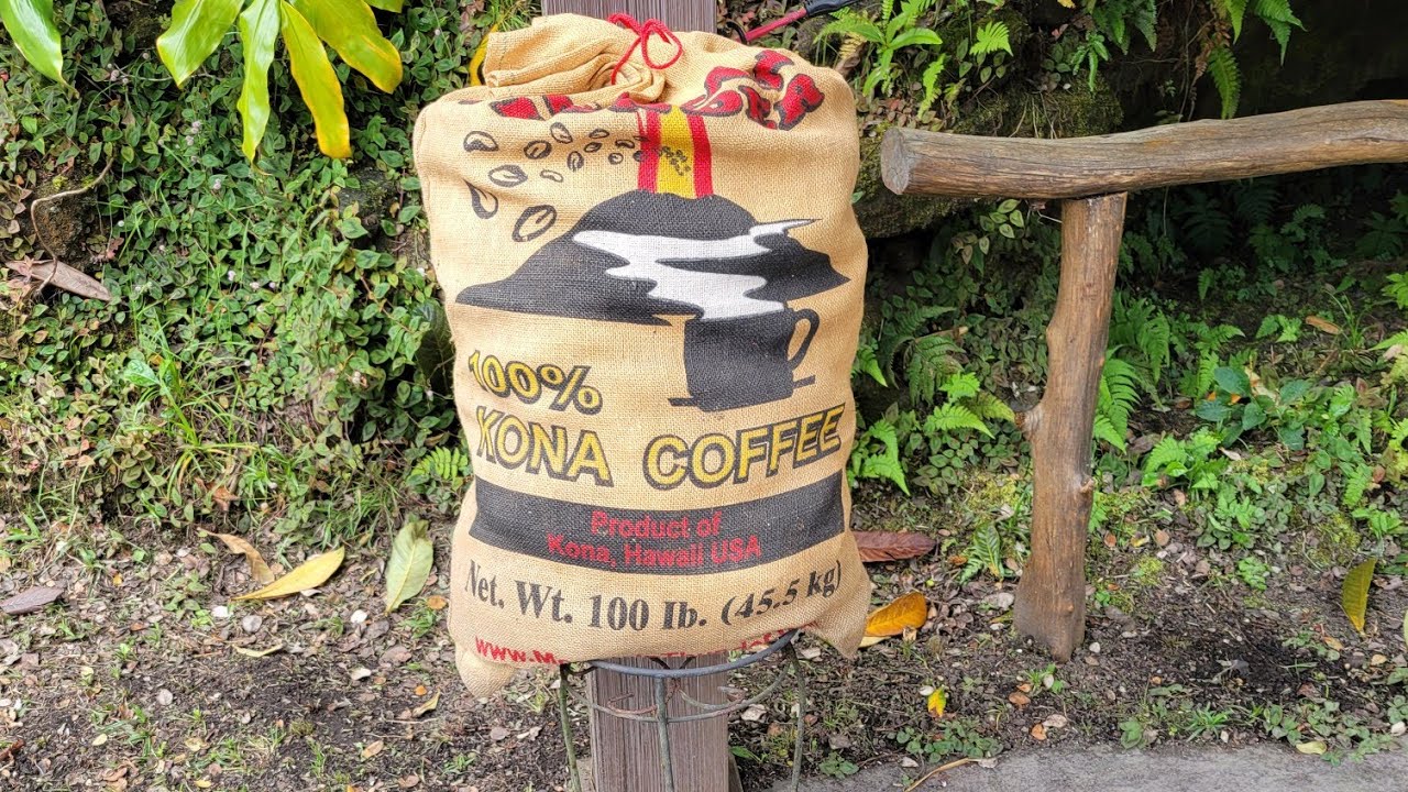100% Kona Coffee- Hawaii Coffee Farm Tour!