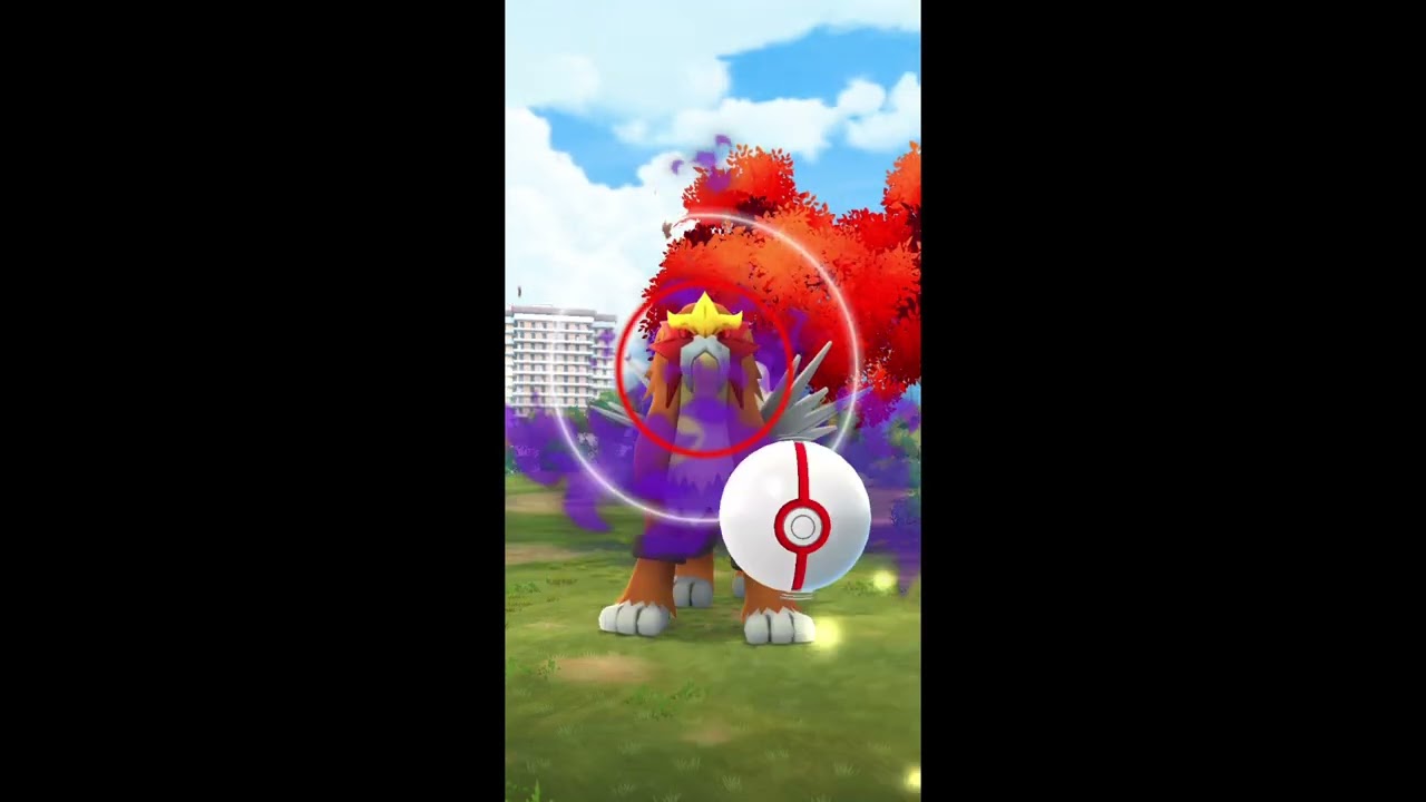 ポケモンGO！久しぶりに！エンテイゲット！