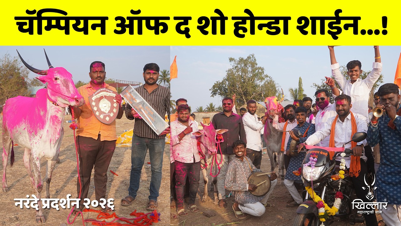 चॅम्पियन ऑफ द शो होन्डा शाईन आणि गदा! । श्री नागनाथ केसरी, नरंदे | Khillar Maharashtrachi Shaan 2025