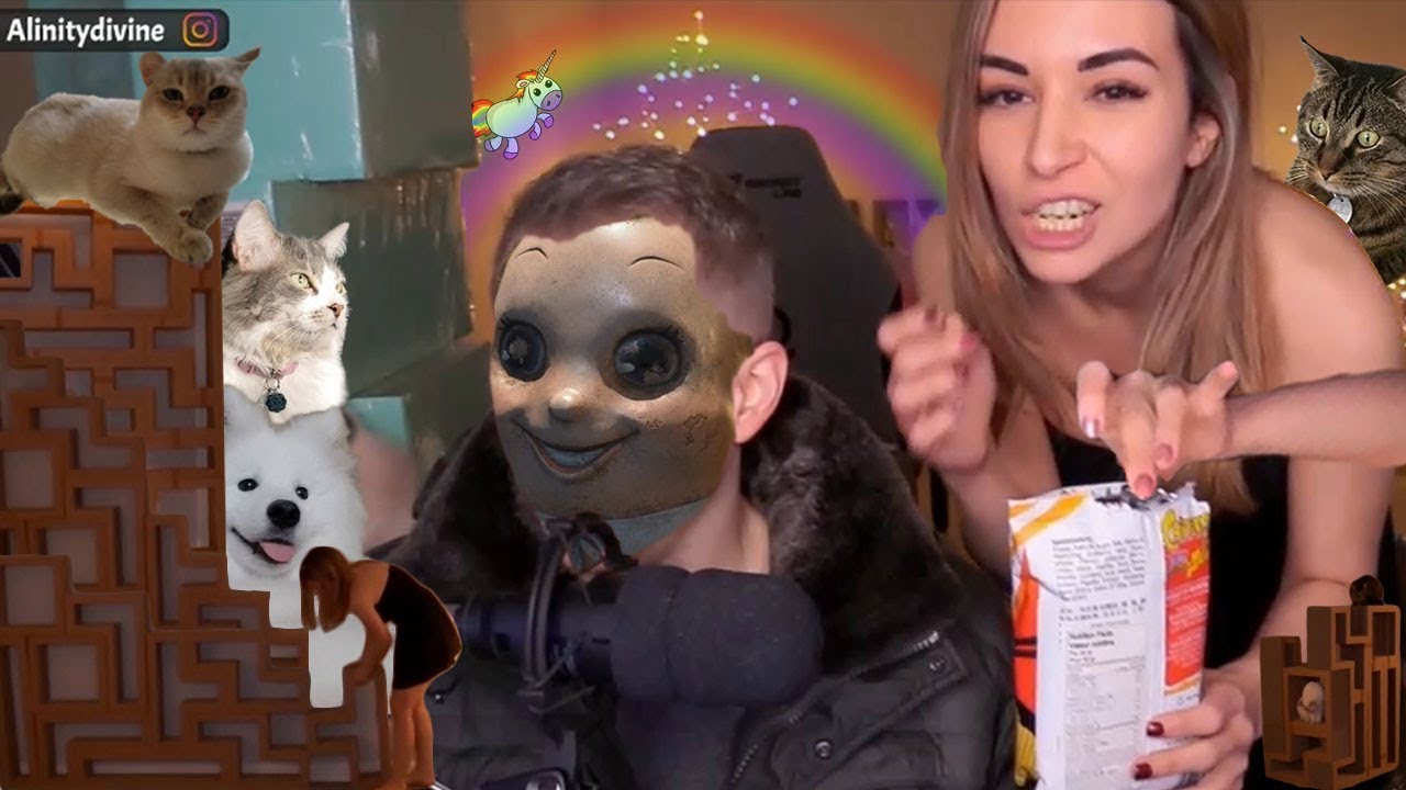 Cat Tower Tetris, Screaming, and my First Games of Apex Legends!