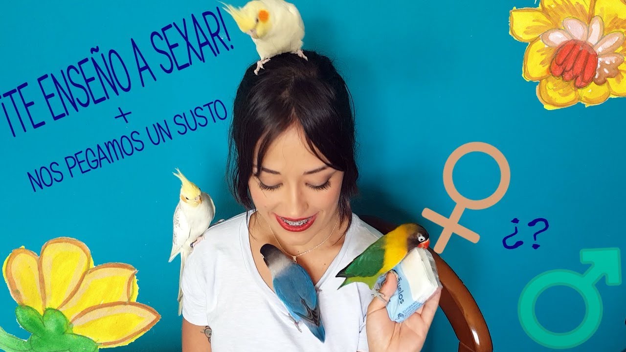 ¿MACHO O HEMBRA? + ¡SALI CORRIENDO A MEDIO VIDEO!