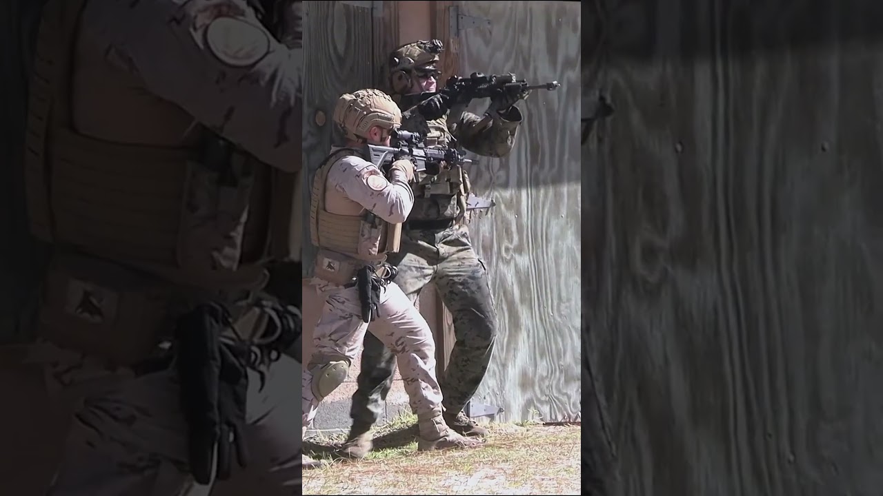 Urban Battle! US Marines & Allies #usmarines #training #shooting