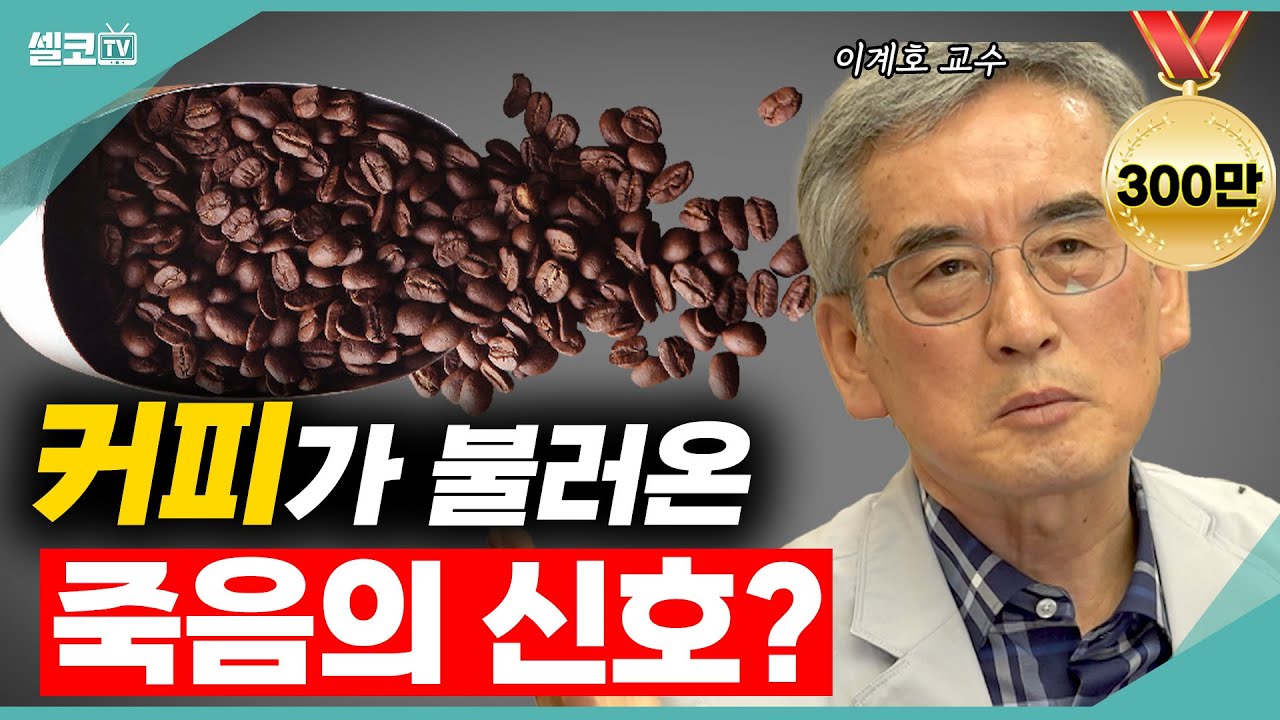 ☕️3년간 '커피'만 연구하다 알게된 