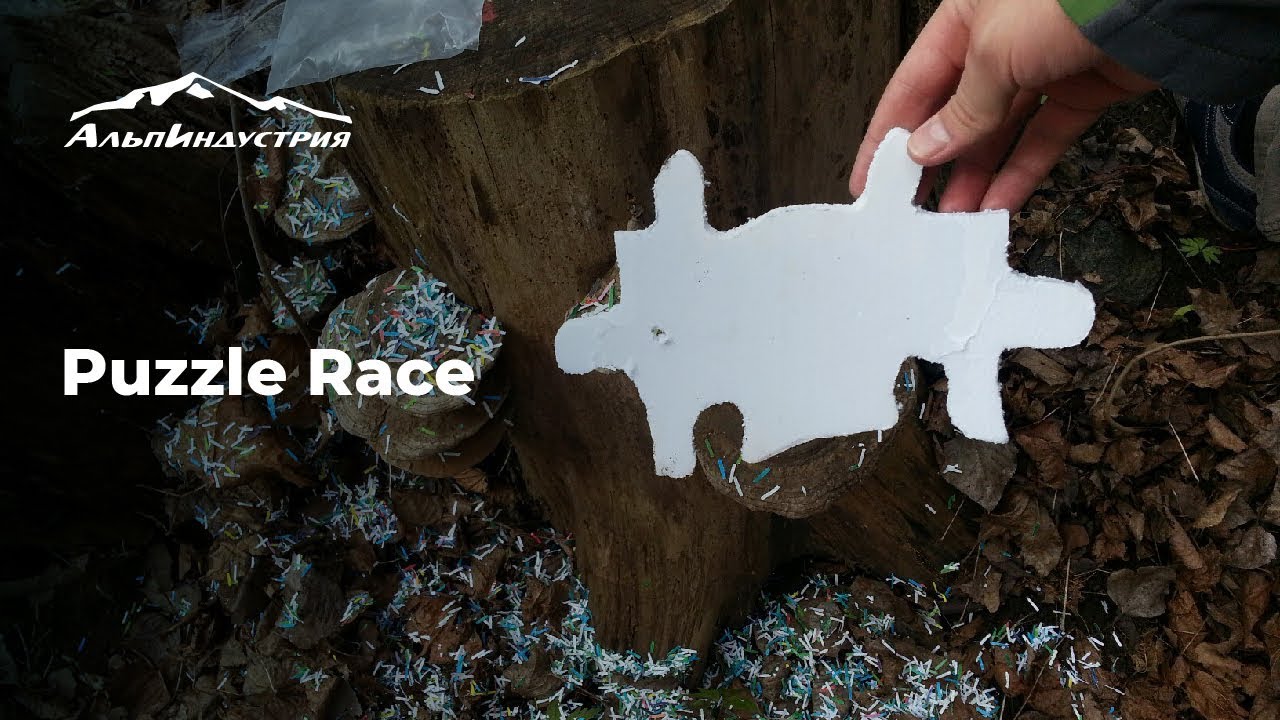 Puzzle Race